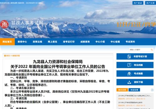 29名 公开考调事业单位工作人员 九龙县人力资源和社会保障局发布公告