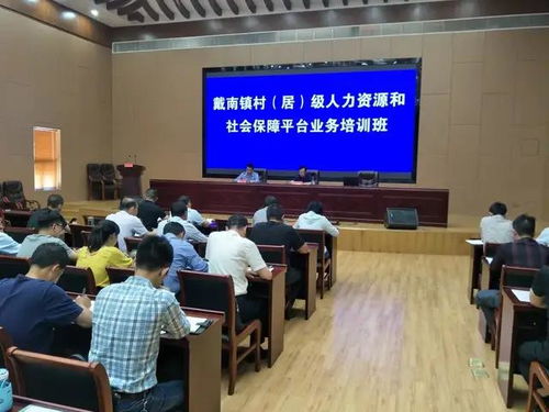 戴南镇举行村 居 级人力资源和社会保障平台业务培训班