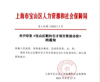 【科创人才周】为企业开动供需"直通车"!宝山区举办人力资源服务对接活动